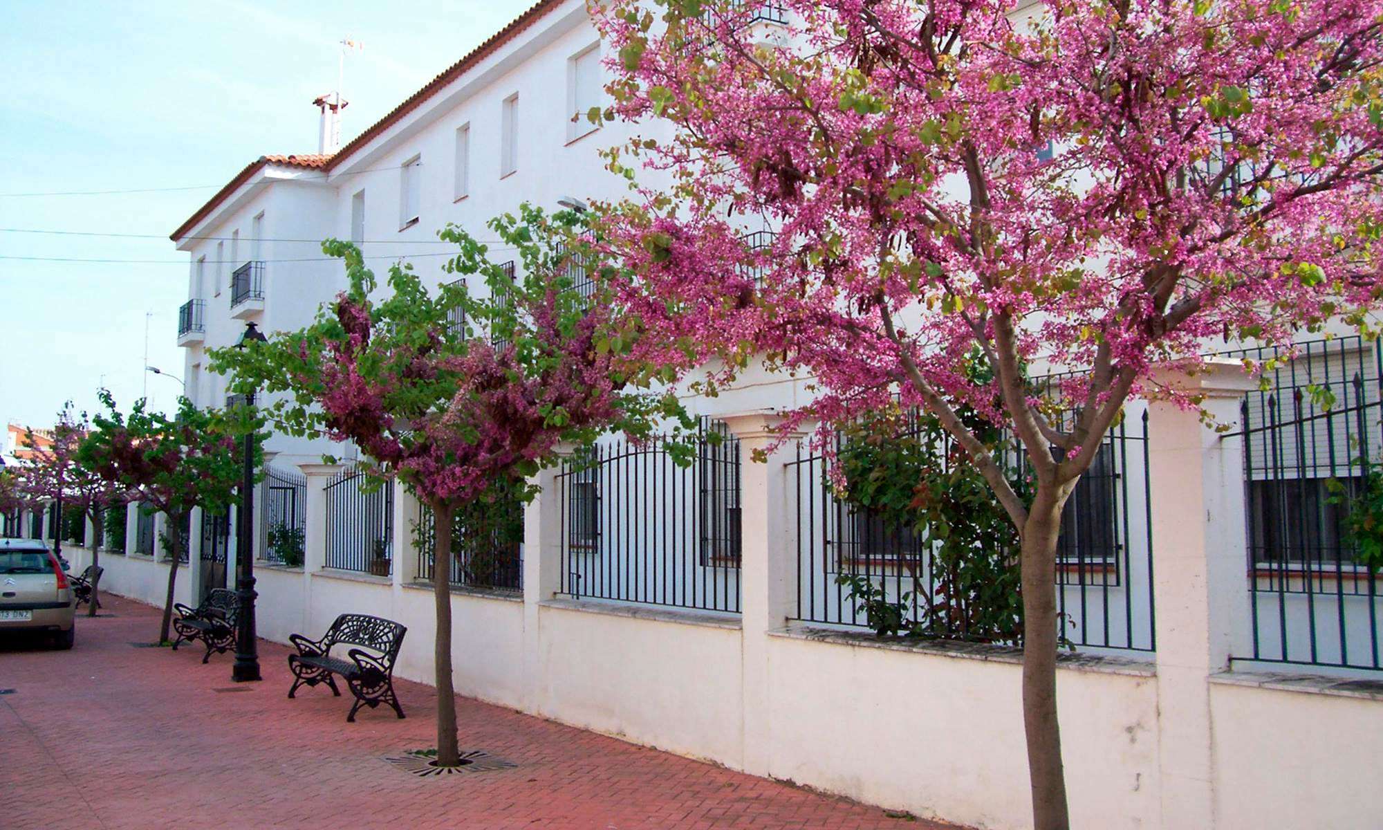 Residencia